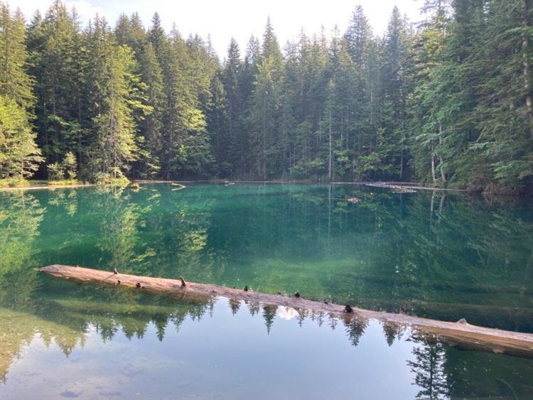Fewo Berk Kuhnburg Bagian luar foto